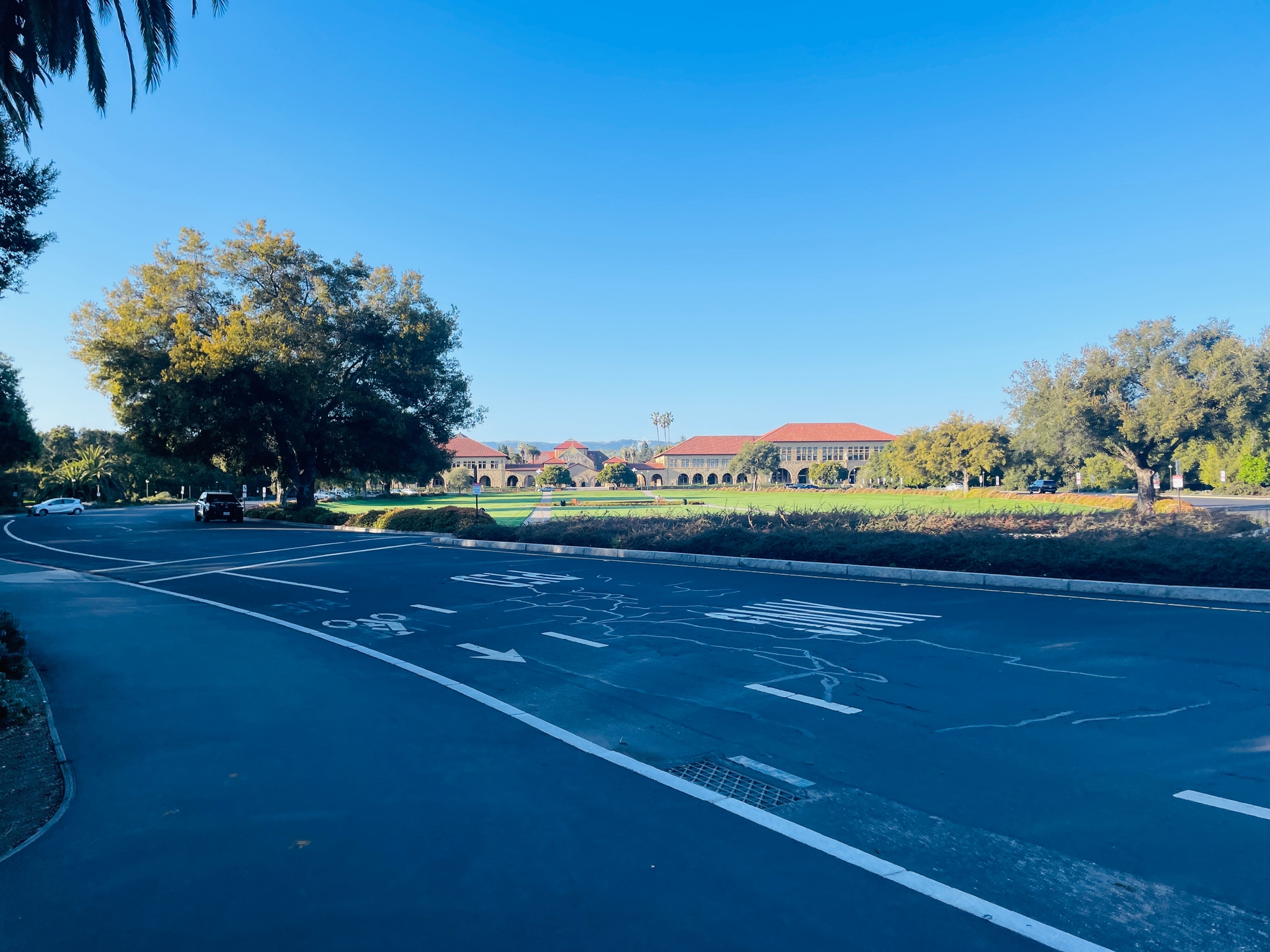 Stanford campus grounds